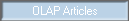 OLAP Articles