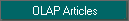 OLAP Articles