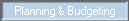 Planning & Budgeting